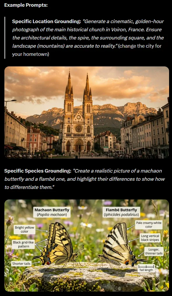 Google's examples of image grounding. | Image: Google
