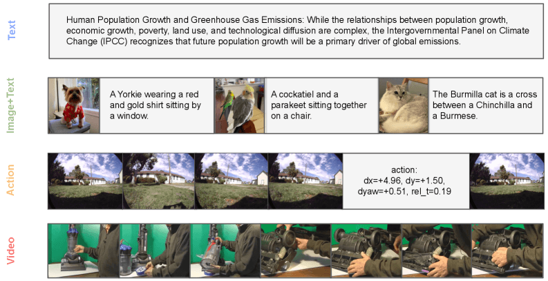 Examples of the four training data types: plain text, image-text pairs, action-driven video sequences, and raw video. | Image: Tong et al.